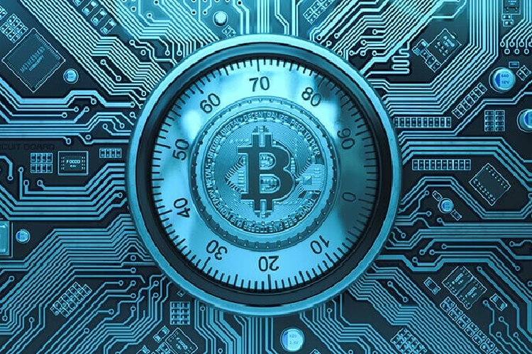 Monumental Achievement: The 800,000th Bitcoin Block and Its Future Implications, and more