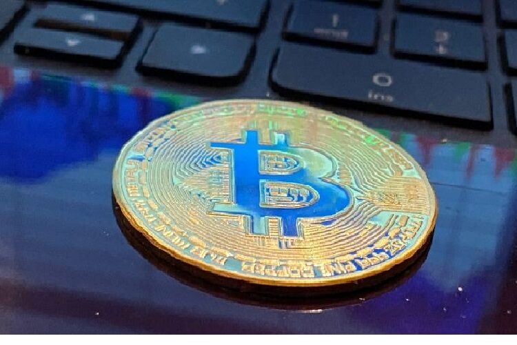 Bear vs. Bull Markets: How They Apply to Cryptocurrency