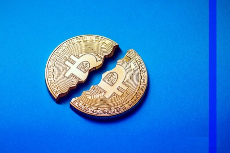 What happens during the bitcoin halving? and more