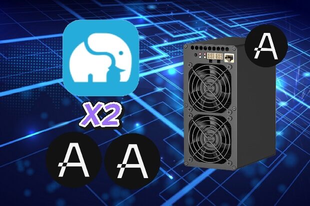 Amazing News For You: DXPool AE BOX II Bonus Rewards Now—Don’t Miss This Thing Out!
