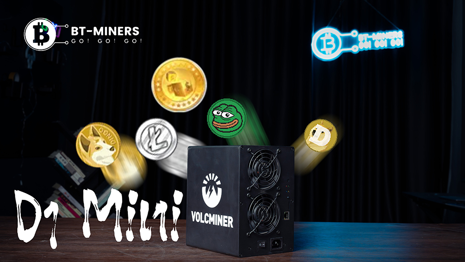 VolcMiner D1 Mini (2.2G) Unboxing and Introducing
