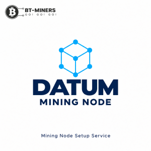 DATUM Mining Node Setup Service | BT-MINERS